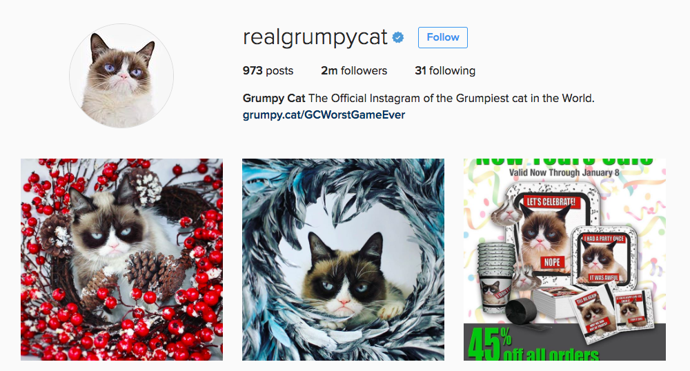 Grumpy Cat Instagram Influencer